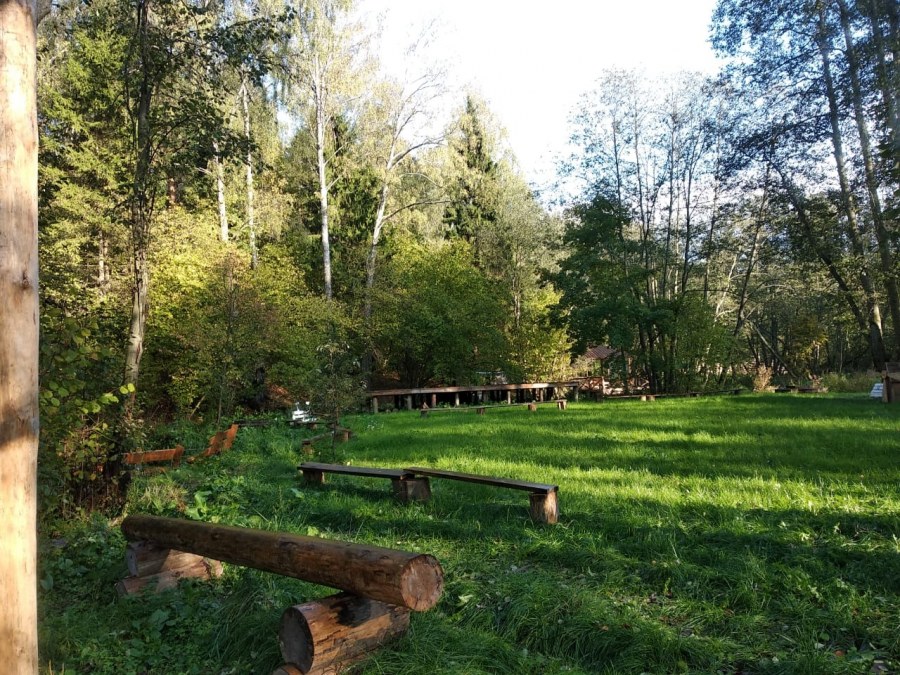 Лапино парк русский лес