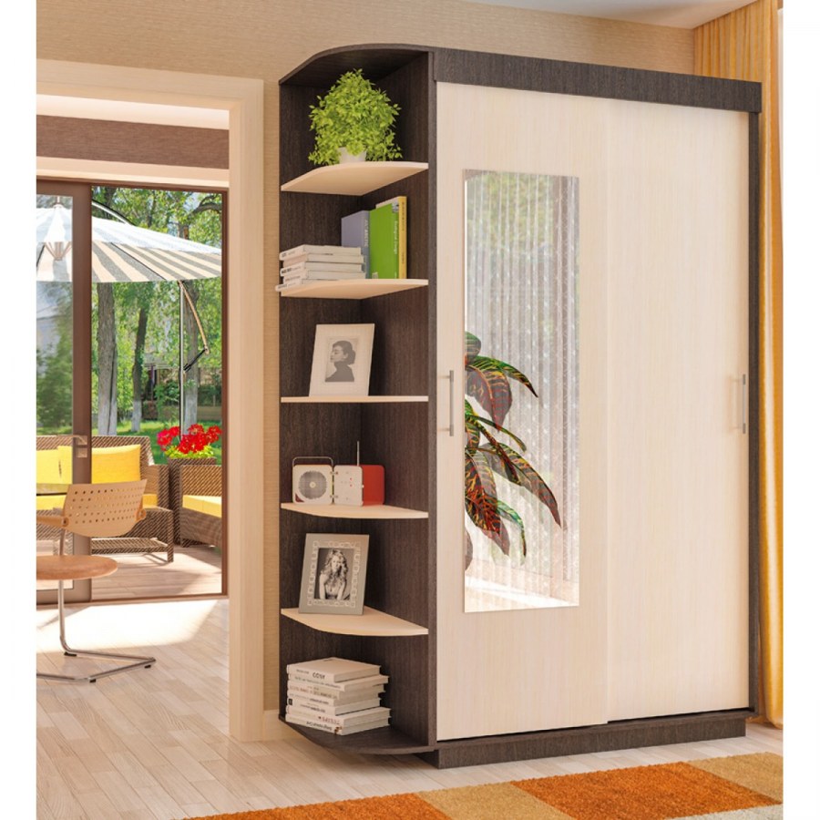 Шкаф купе Шон 1