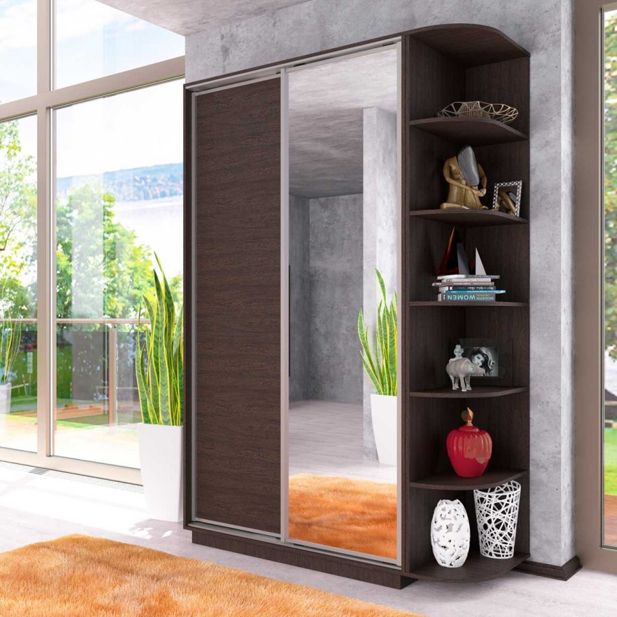 Шкаф-купе двухдверный Ника-1 с зеркалом