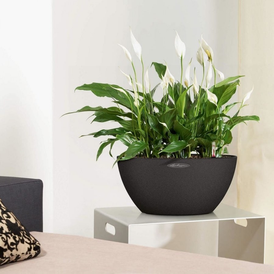 Кашпо Lechuza Cubeto Stone 40