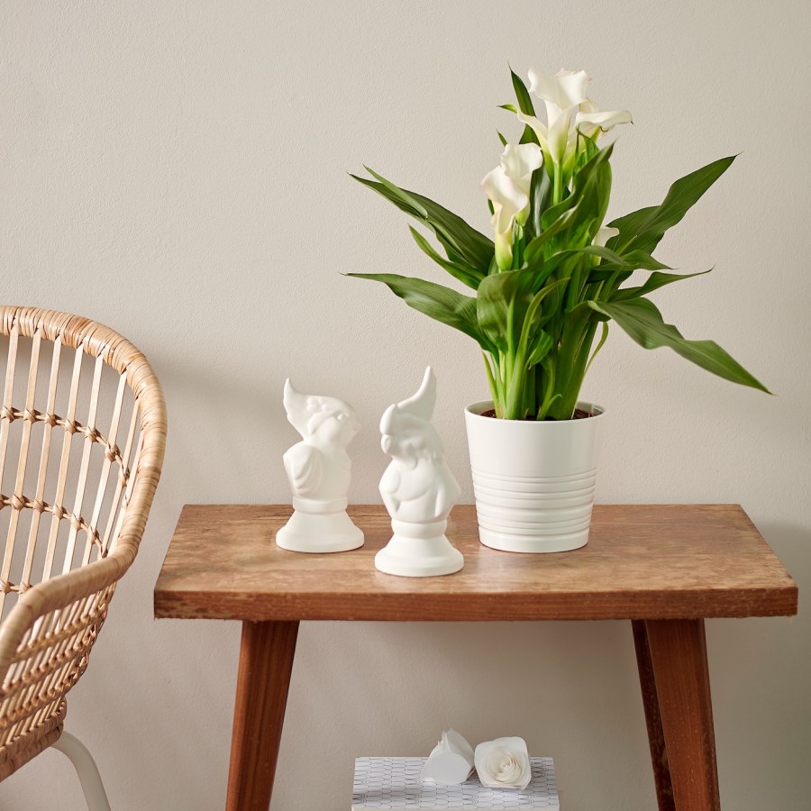 МУСКОТ кашпо белый икеа