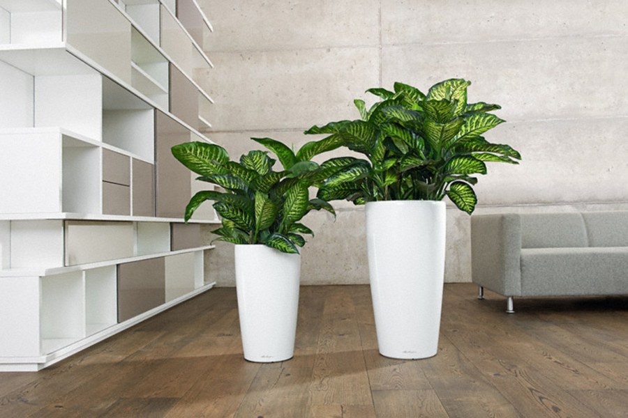 Кашпо Lechuza Рондо