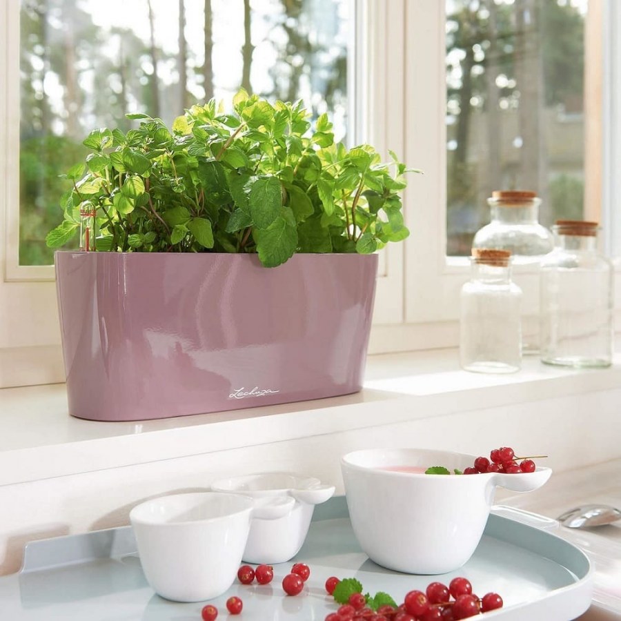 Кашпо Lechuza Delta 20