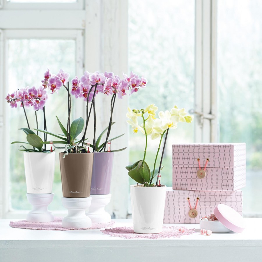 Горшки Lechuza-Deltini