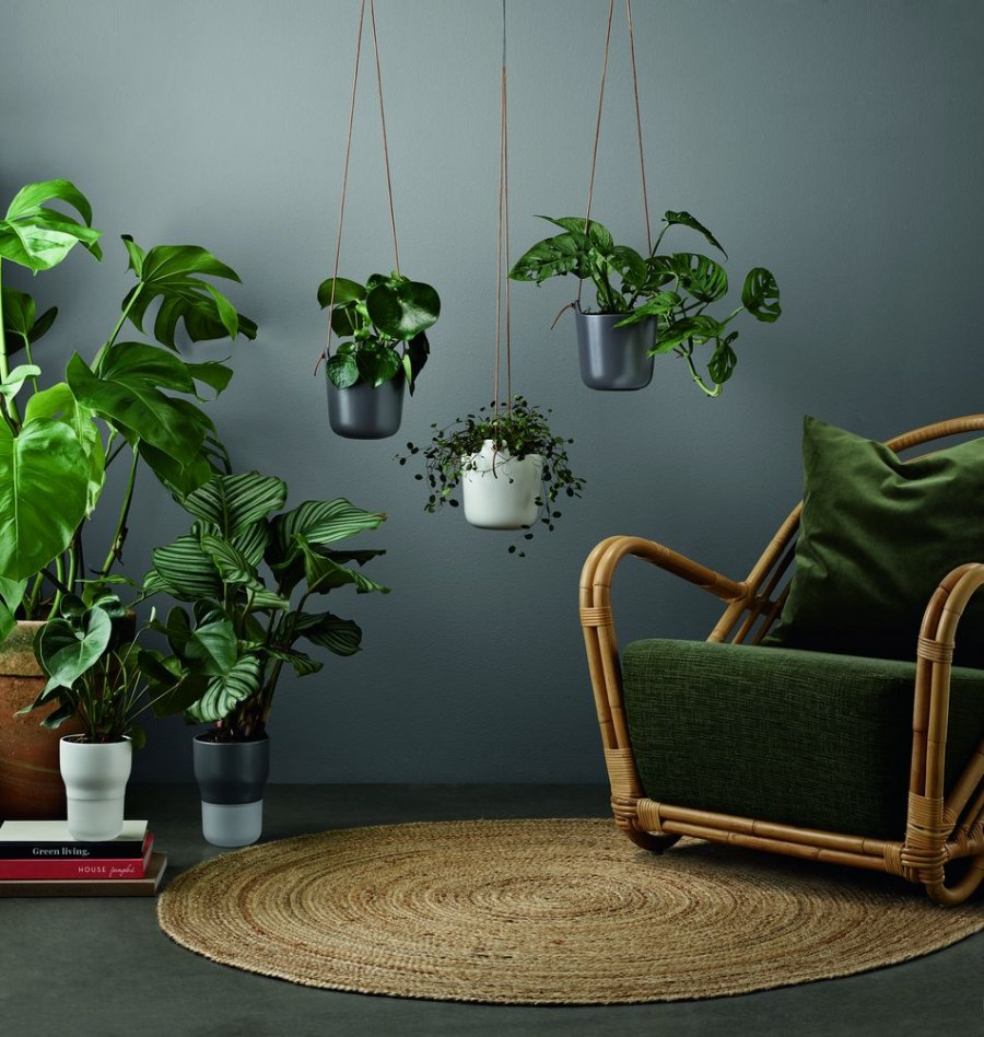 Eva solo горшки