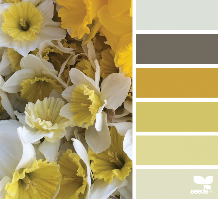 Цветовая палитра