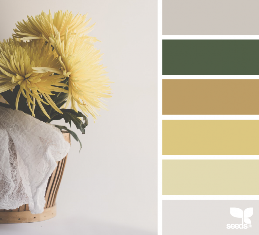 Цветовая палитра зеленый бежевый