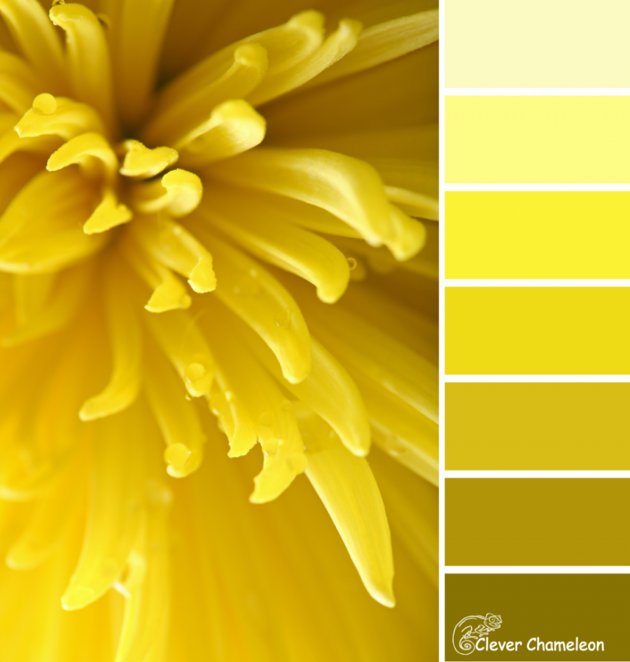 Камбодж Еллоу цвет палитра