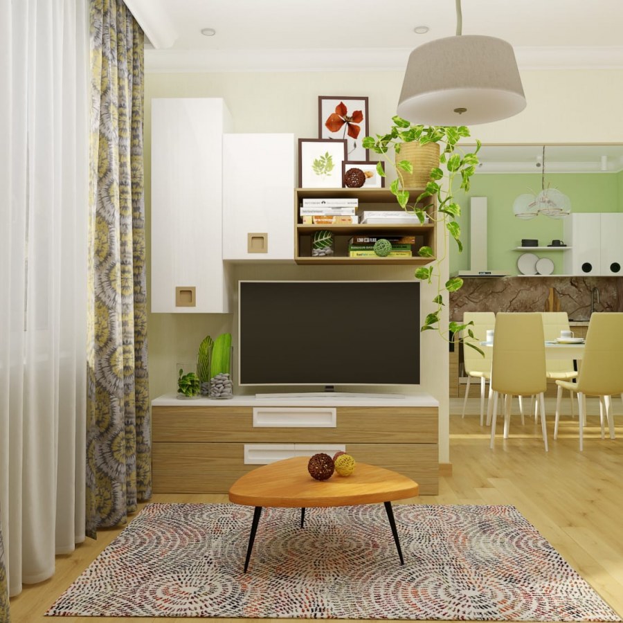 Однокомнатная квартира в эко стиле