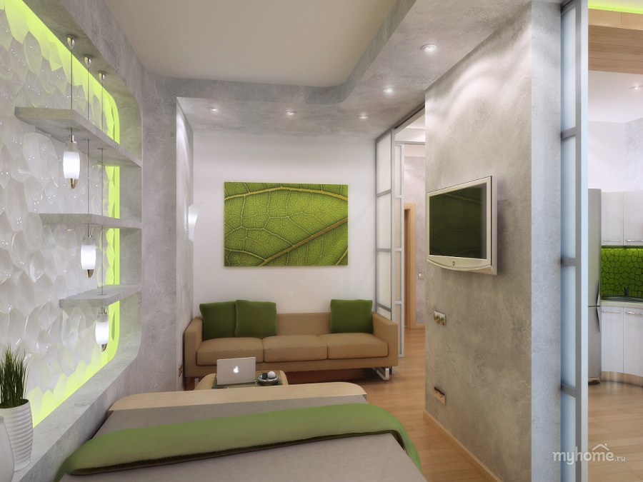 ЭКОДИЗАЙН однокомнатной квартиры