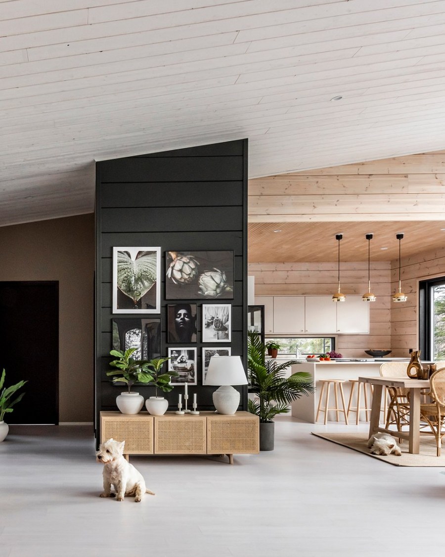 Honka heijastus проект