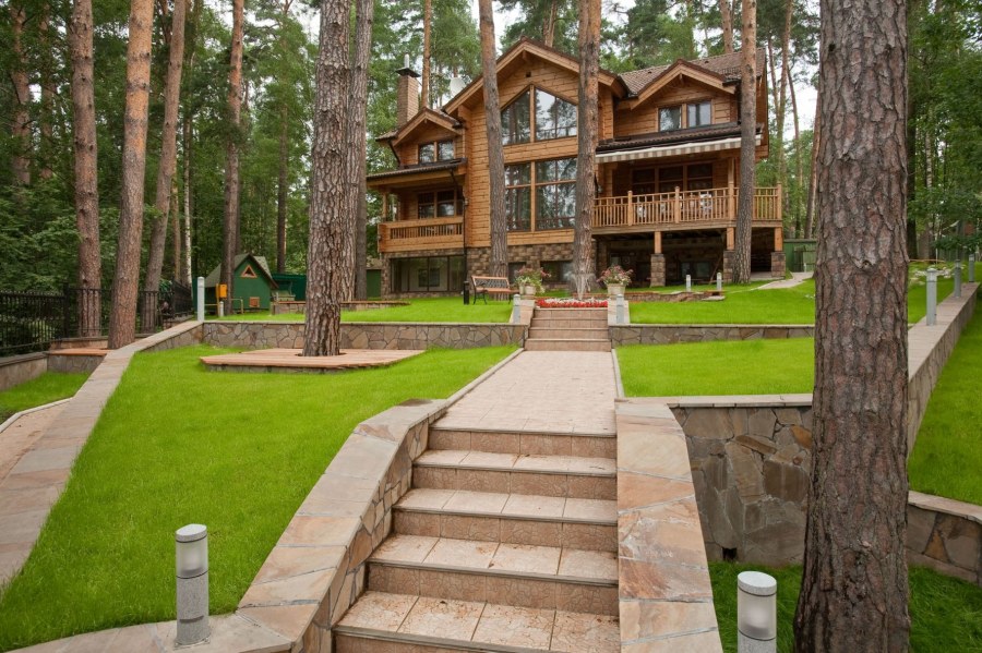 Хонка парк Тимофеев