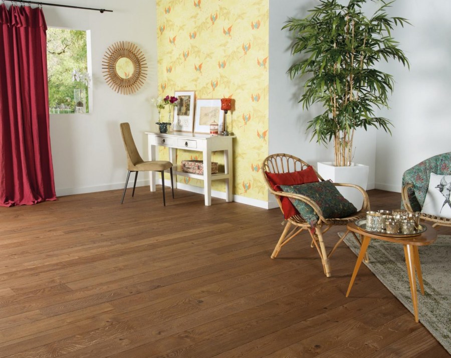 Panaget дуб Зенитюд масло дива 139