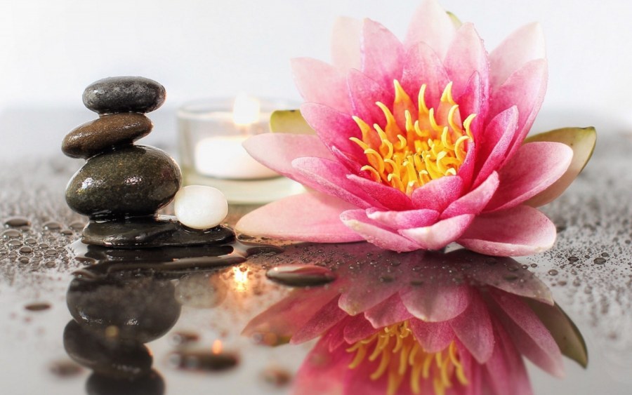 Медитация цветы