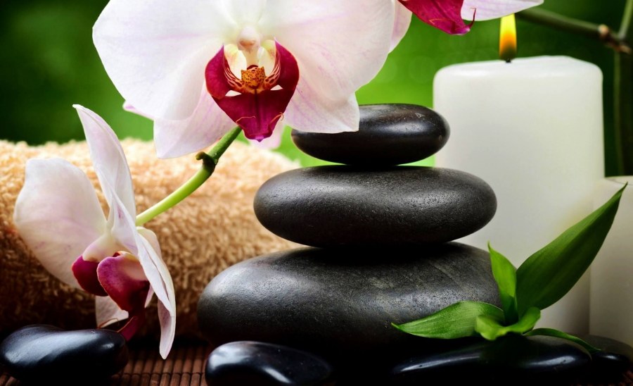 Орхидея и камни