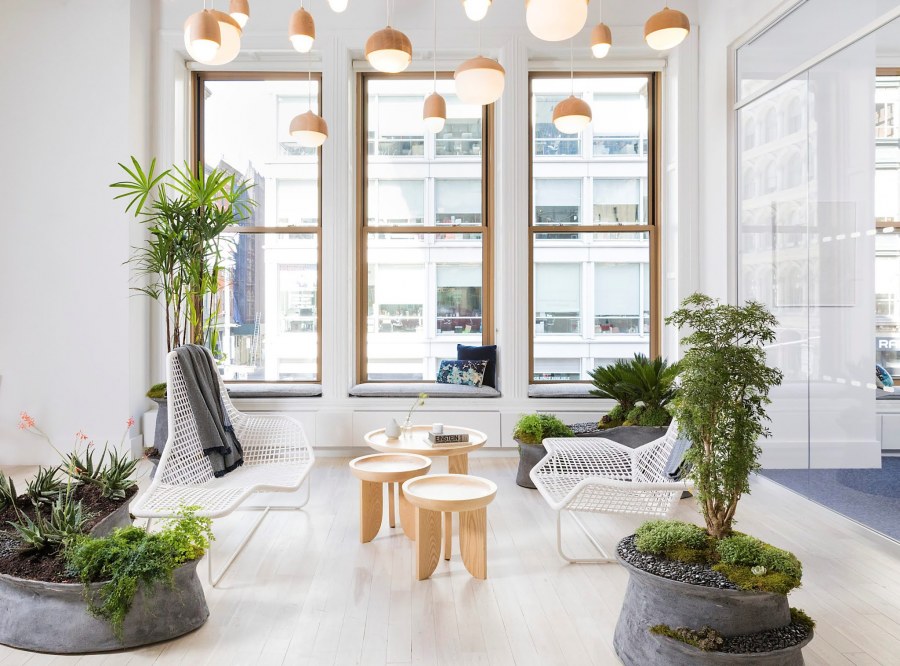 Озеленение интерьера квартиры