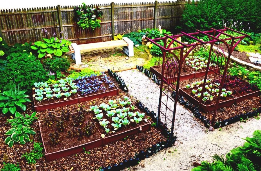 Мини грядки на даче