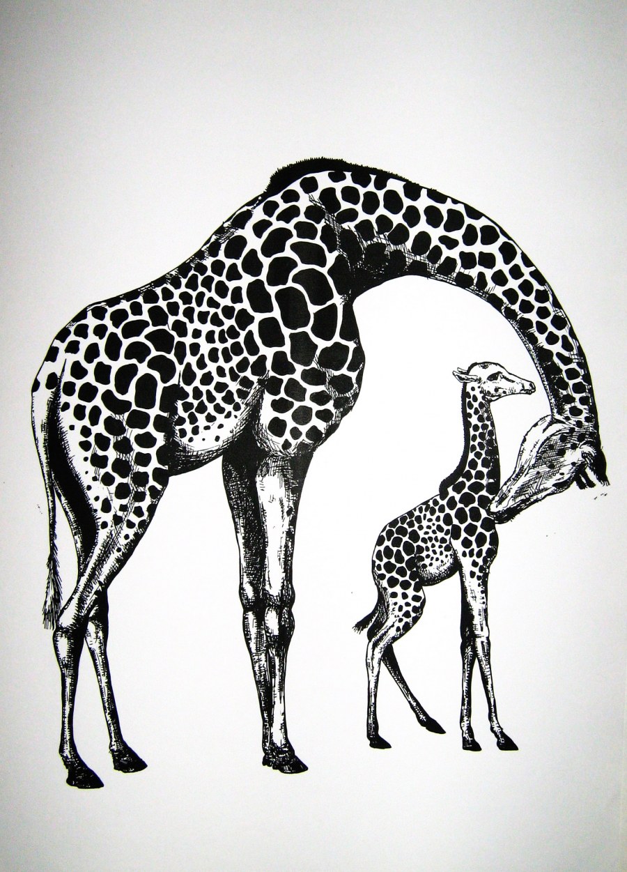 Стилизация животного