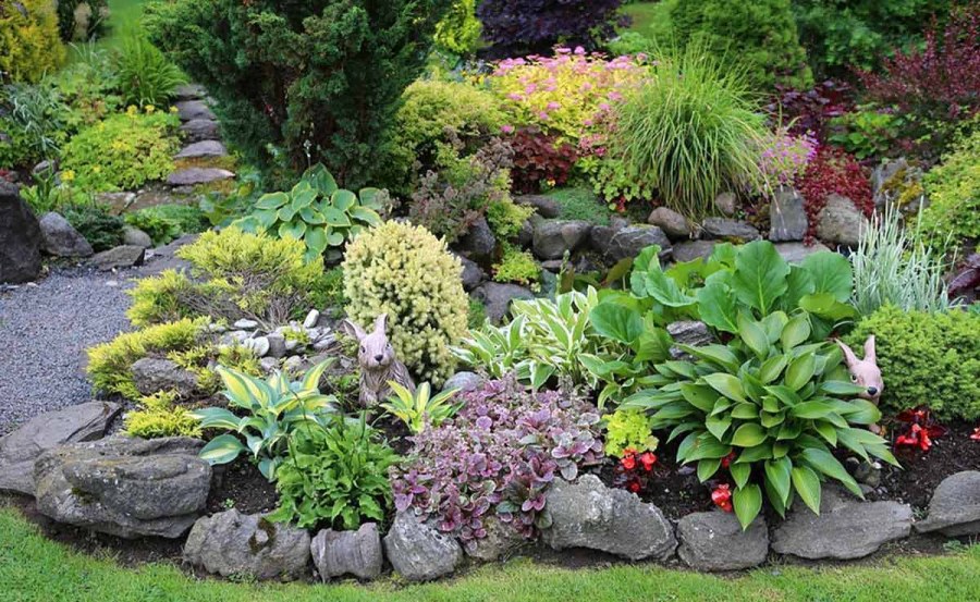 Альпийская горка миксбордер