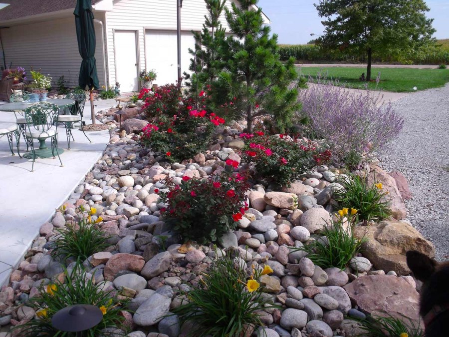 Розарий ландшафт Альпийская горка