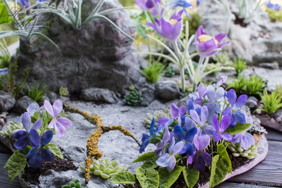 Горные каменные цветы