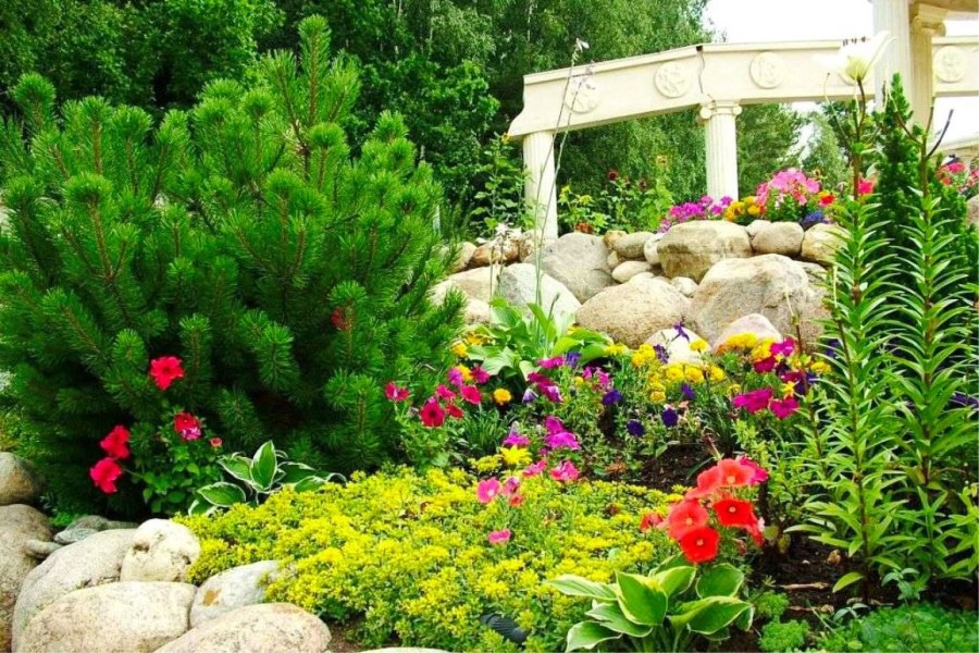 Каменистые сады Альпийская горка