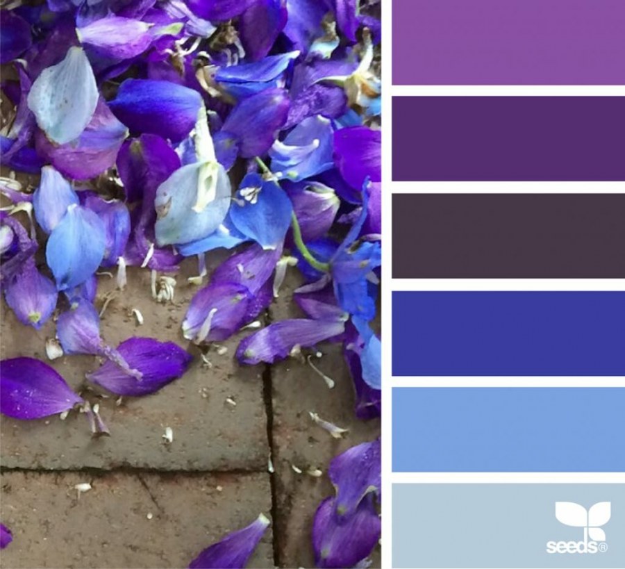 Сочетание цветов