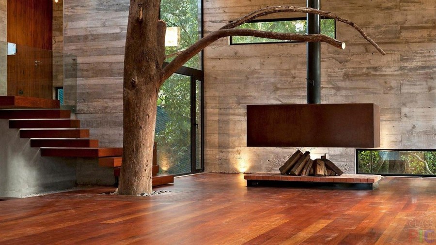 Дерево внутри дома