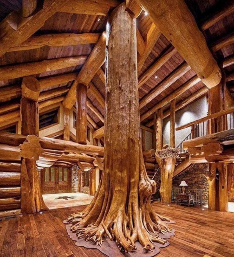 Пайонир лок Холмс