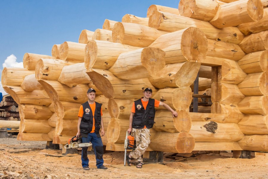 Сибирский кедр сруб