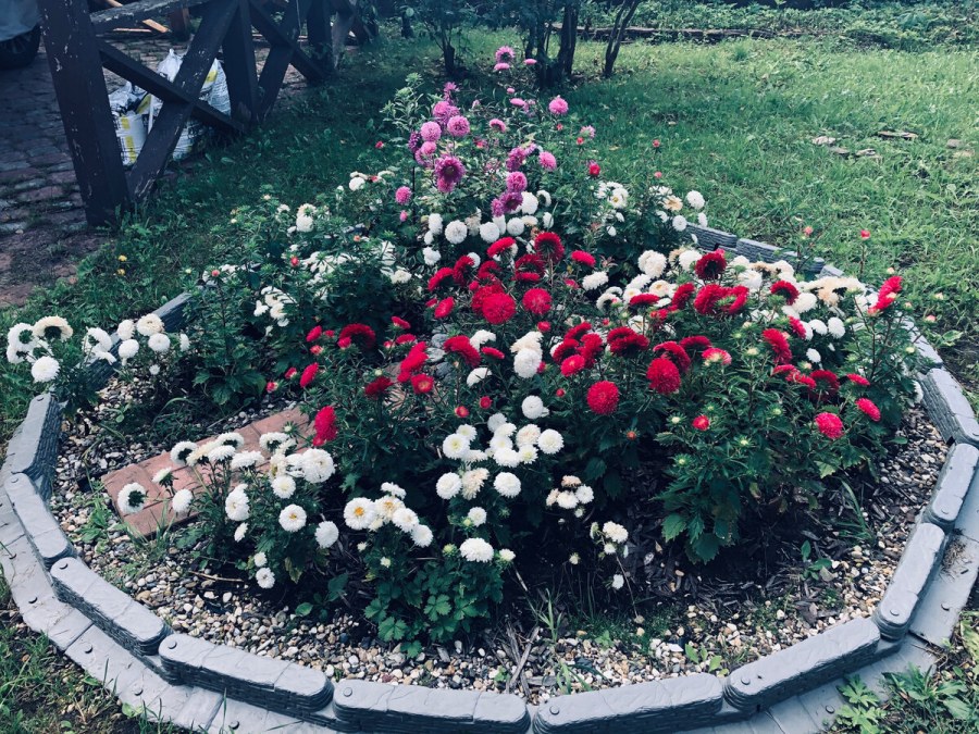 Гарден Хаус ландшафт