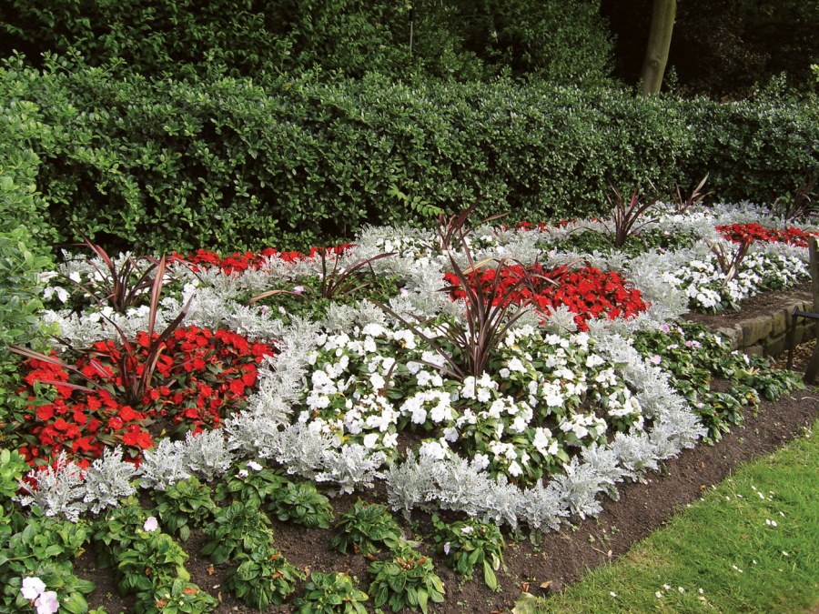 Кеннеди Макрэ ландшафтный дизайнер