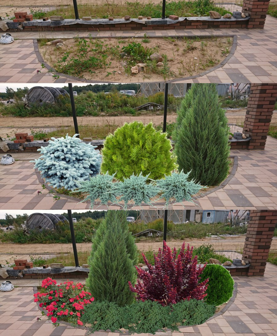 Скетчи миксбордеров