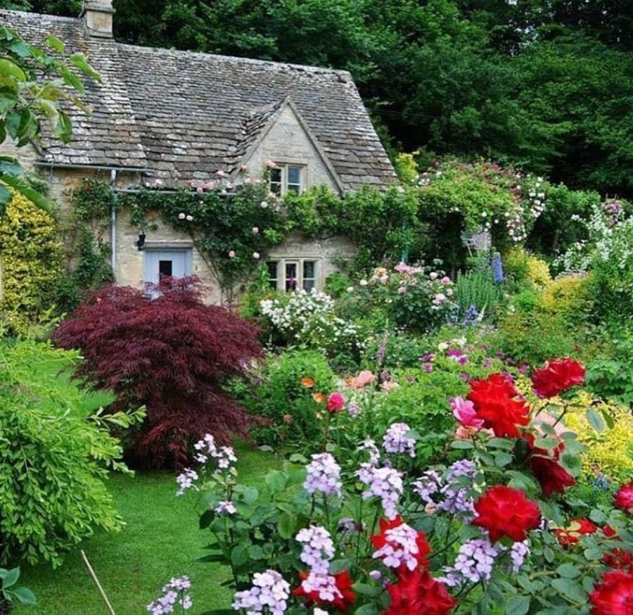 Английский сад Savil Garden