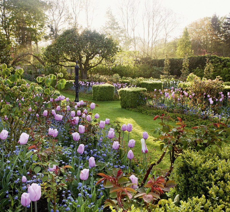 Маленький английский сад