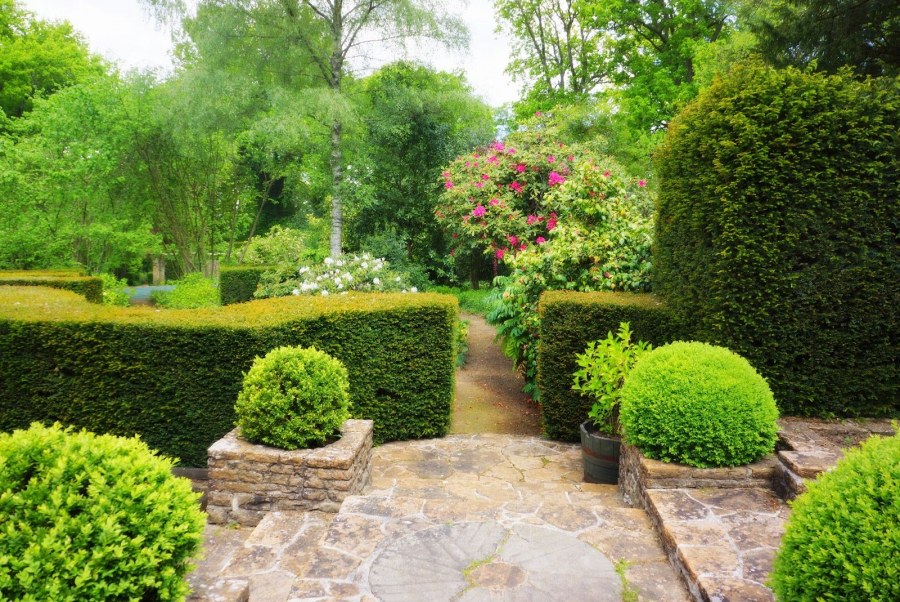 Мария Проскурнина ландшафтный дизайнер