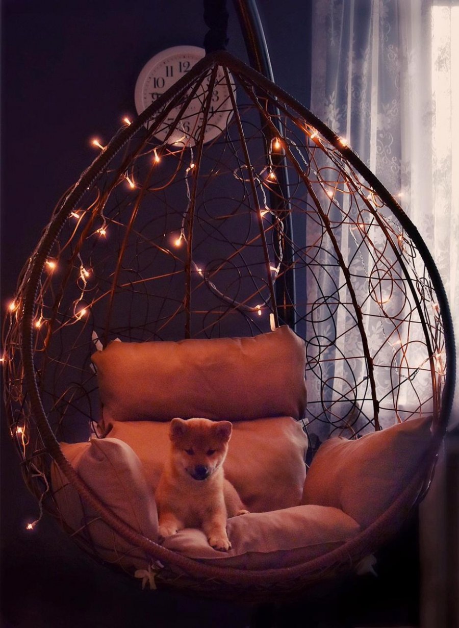 Подвесное кресло для кота