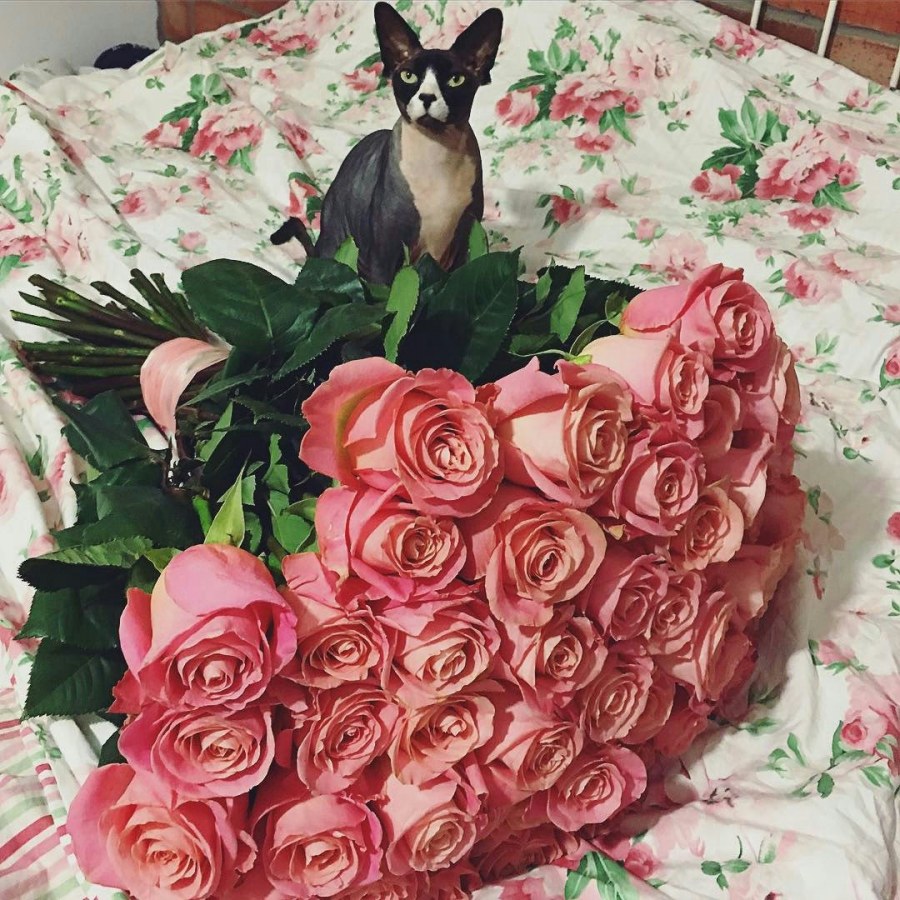 Огромный букет на кровати