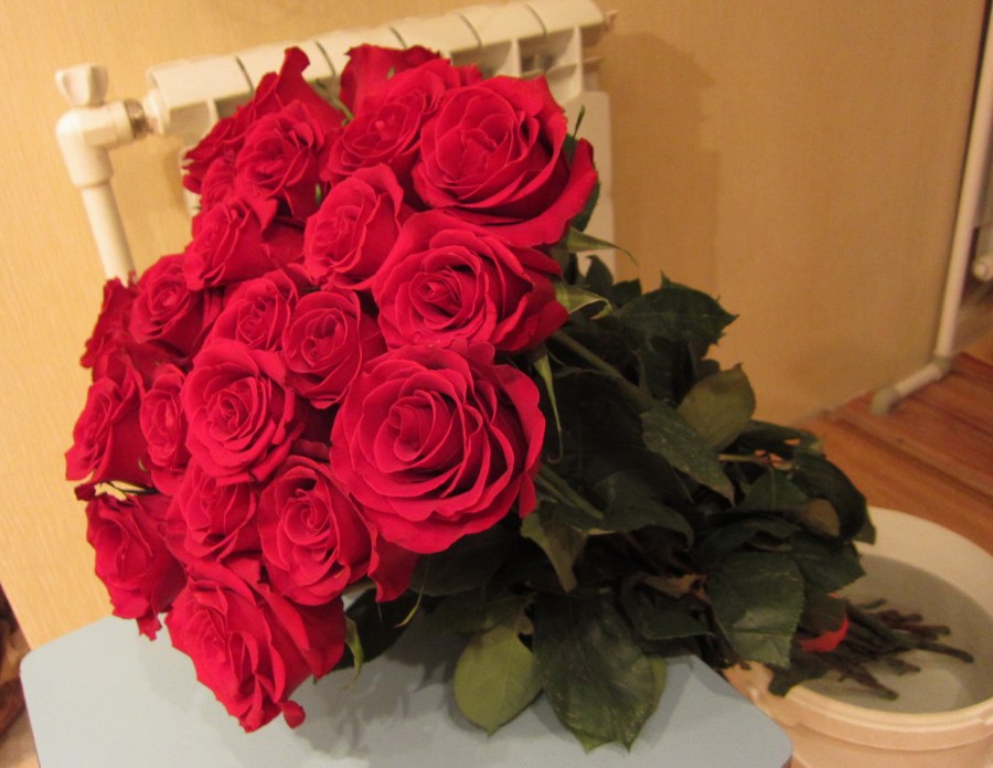 Букет роз дома