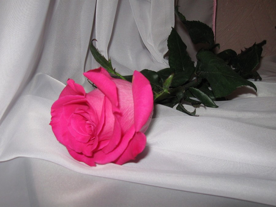 Цветы на кровати