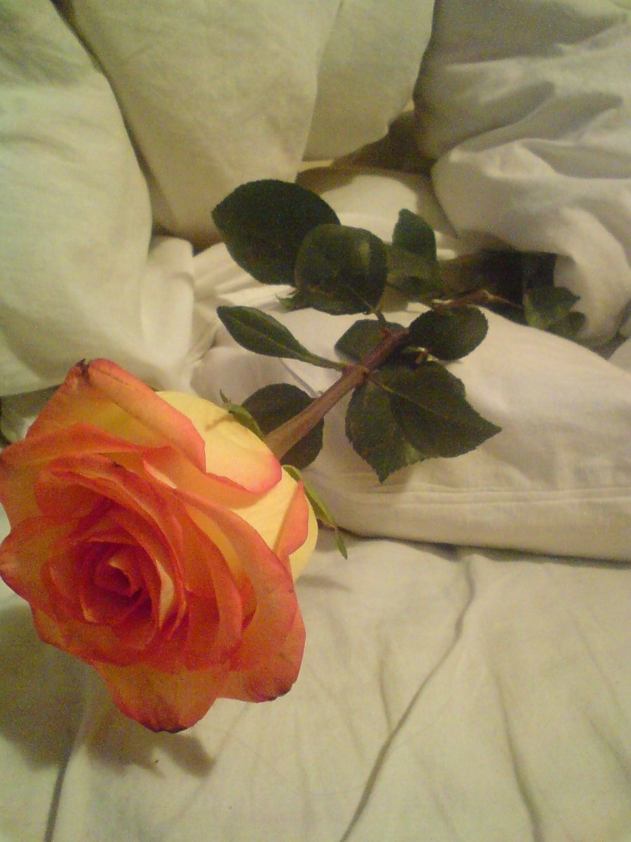 Кровать роза