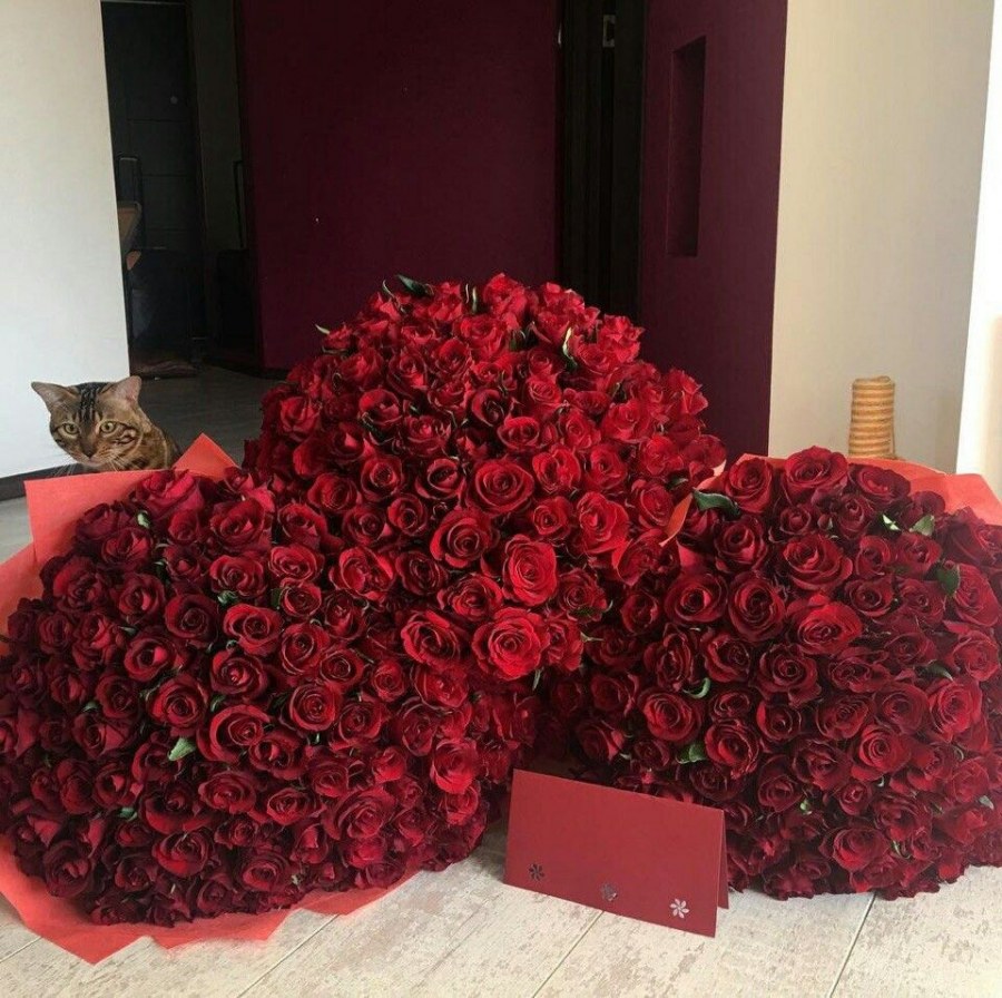 Букет роз огромный