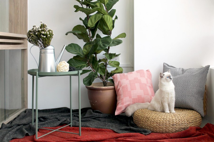 Полка МОССЛЭНДА икеа в интерьере