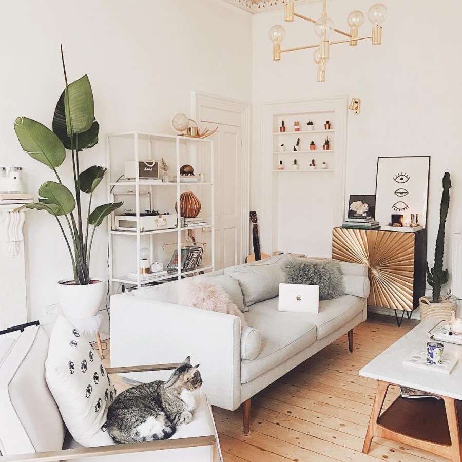 Блогерский интерьер