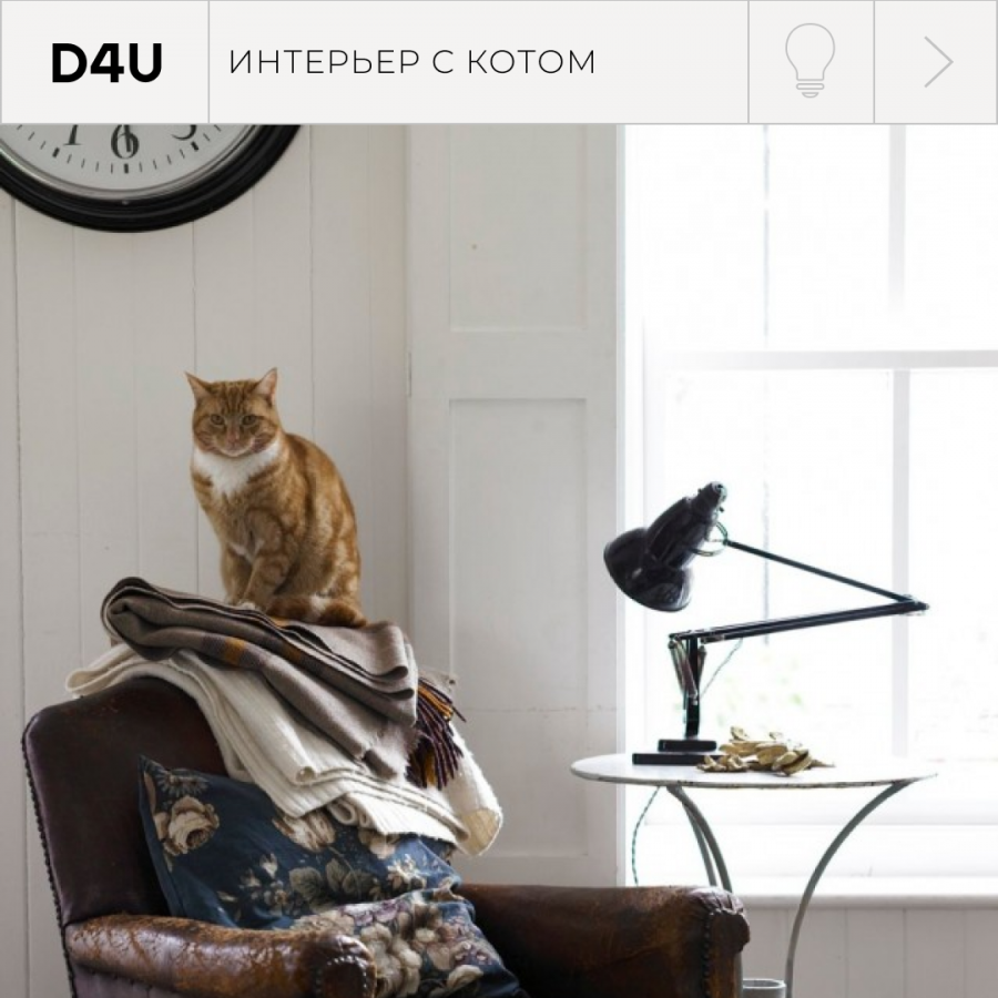 Интерьер комнаты для кошки