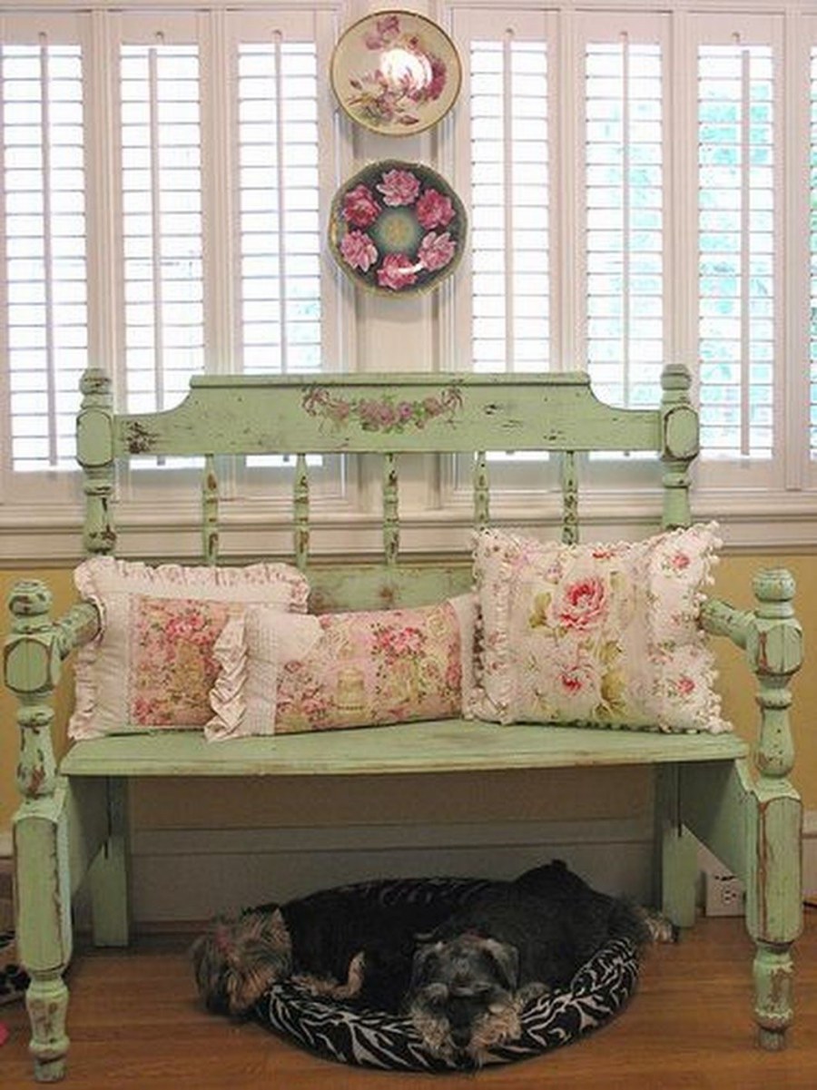 Кот рекомендует