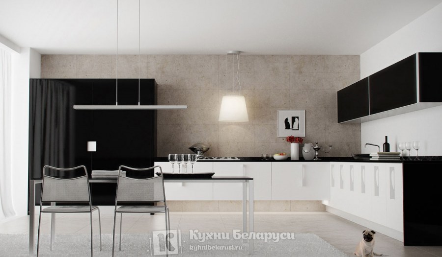 Черно-белые кухни в интерьере