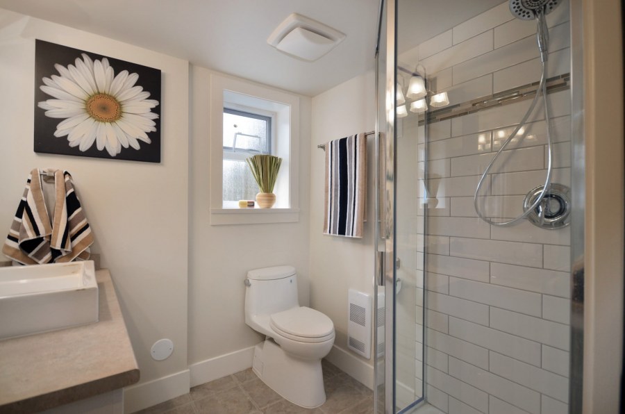 Совмещённый санузео с душевой