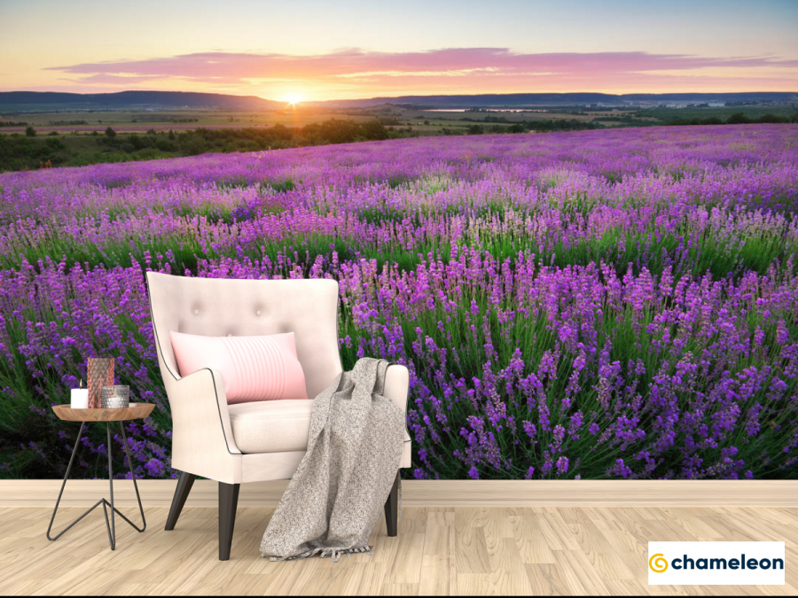 Лавандовые поля в интерьере