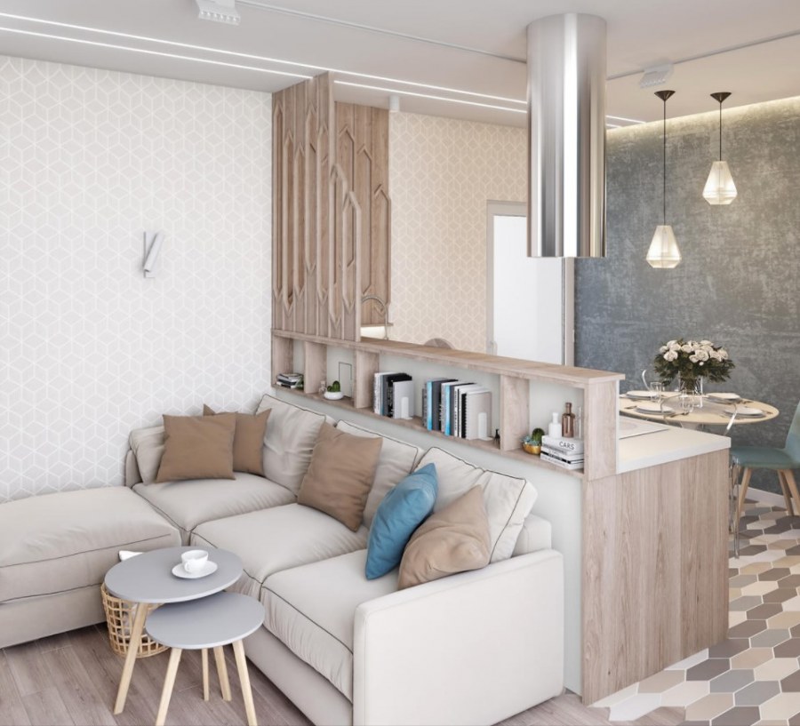 Зонирование кухни и гостиной